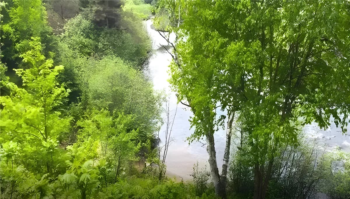 Le Refuge des Eaux Vives – photo 4