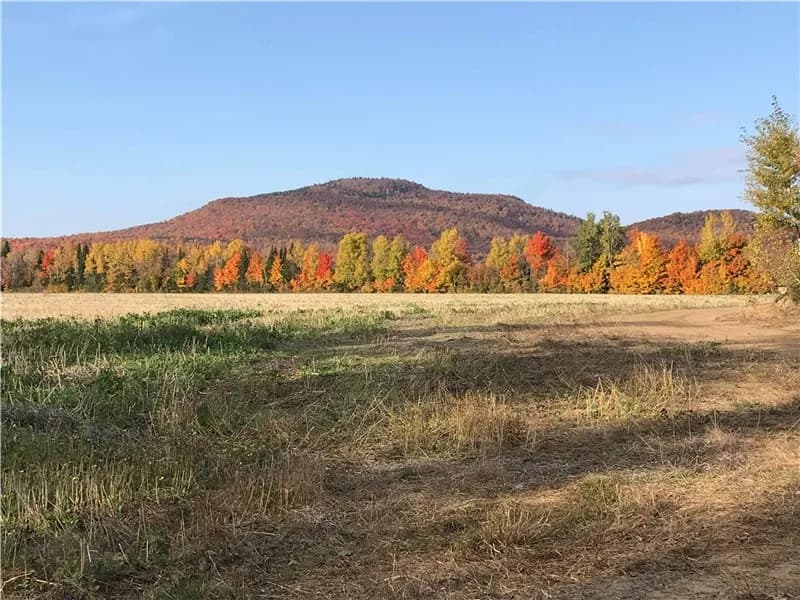 Le Chalet au Lac, entrée de la Vallee-Bras-du-Nord – photo 4