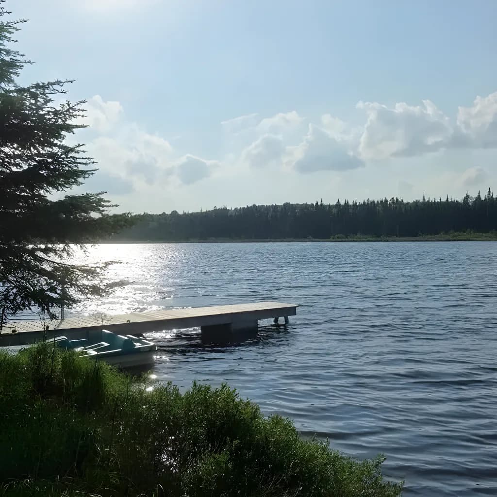 Petit chalet au bord d'un lac naturel ensemencé – photo 3
