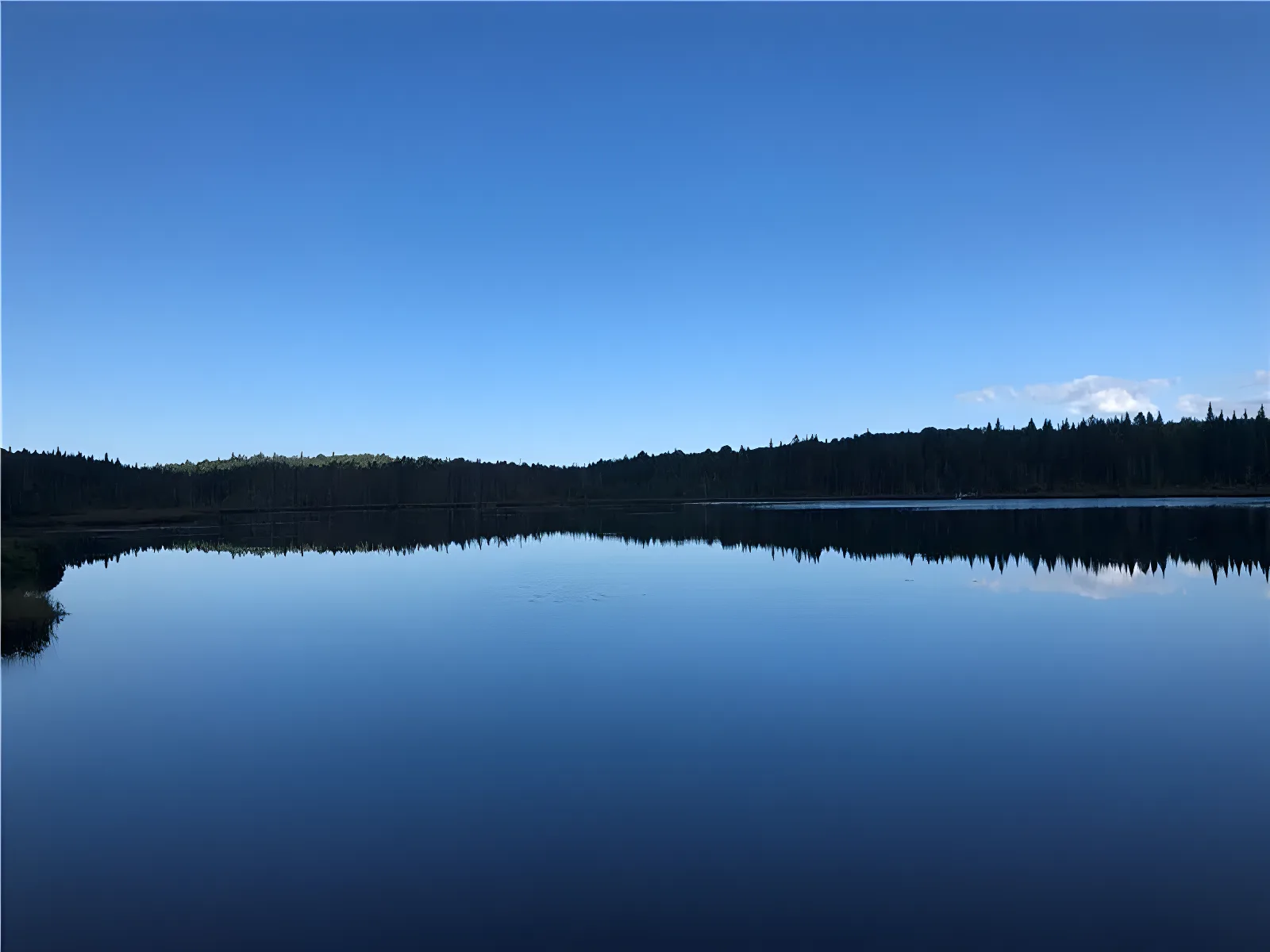 Petit chalet au bord d'un lac naturel ensemencé – photo 4